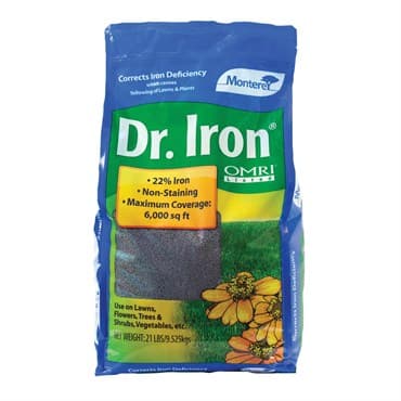 Monterey 21# Dr Iron — photo 1 of 2