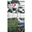 Dramm Hanging Basket Remover 12" Ring Only — thumbnail 1 of 2