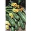 Squash, Cocozelle 1/2lb — thumbnail 1 of 2