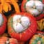 Squash, Turks Turban 1/2lb — thumbnail 1 of 2