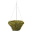 Braun 18" Woodland Moss Hanging Basket w/ Galvanized Wire Hanger — thumbnail 1 of 2