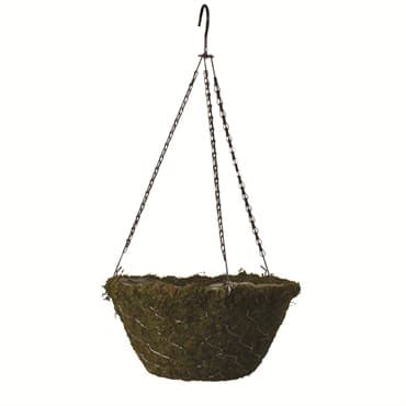 Braun 12" Evergreen Moss Hanging Basket W/ Chain — photo 1 of 2