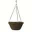Braun 12" Evergreen Moss Hanging Basket W/ Chain — thumbnail 1 of 2