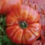 Tomato, Beefsteak 1/2oz — thumbnail 1 of 2