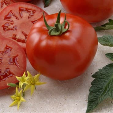 Tomato, Better Boy Untreated 1000 Seed Count — photo 1 of 2