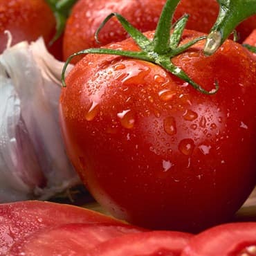 Tomato, Homestead 1/2oz — photo 1 of 2
