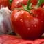 Tomato, Homestead 1/2oz — thumbnail 1 of 2