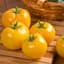 Tomato, Lemon Boy Untreated 500 Seed Count — thumbnail 1 of 2