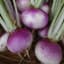 TURNIP, PURPLE TOP WHITE GLOBE 50# — thumbnail 1 of 2