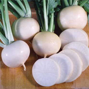 Turnips, White Lady 1/2oz — photo 1 of 2