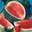 Watermelon, Black Diamond 1/2lb — thumbnail 1 of 2