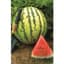 Watermelon, Dixie Queen 1/2oz — thumbnail 1 of 2