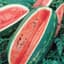 Watermelon, Florida Giant 1/2oz — thumbnail 1 of 2