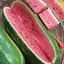 Watermelon, Jubilee 1/2oz — thumbnail 1 of 2