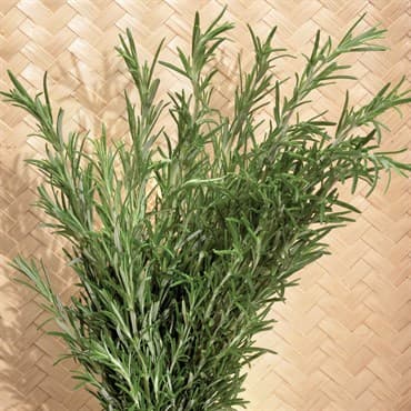 Rosemary 1/16oz — photo 1 of 2