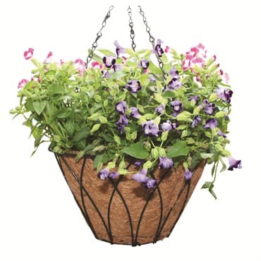 Austram 12" Lotus Planter Black with Chain — photo 1 of 2