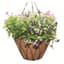 Austram 12" Lotus Planter Black with Chain — thumbnail 1 of 2