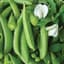 Peas, Cascadia 1lb — thumbnail 1 of 2