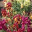 Snapdragon, Magic Carpet kg — thumbnail 1 of 2