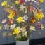 COLUMBINE, MCKANA GIANT MIX LBS — thumbnail 1 of 2