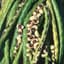 Cowpeas, California Blackeye 1/2lb — thumbnail 1 of 2