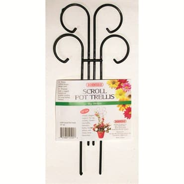 Bosmere Wren 12" Tall x 8" Wide Mini Scroll Pot Trellis — photo 1 of 2