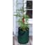 Bosmere Tomato Planter Bag Pack of 3 — thumbnail 1 of 2
