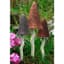 Potting Shed 3pc Tinkling Toadstools Spring Colors — thumbnail 1 of 2