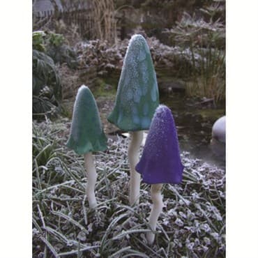 Potting Shed 3pc Tinkling Toadstools Winter Colors — photo 1 of 2