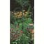 Panacea 84" Black Double Hook — thumbnail 1 of 2