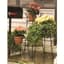 Panacea 21" Heavy Duty Plant Stand Black — thumbnail 1 of 2