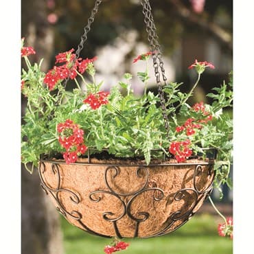 Panacea 14" Cameo Series Hanging Basket — photo 1 of 2