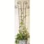 Panacea 48" Green Wave Pot Trellis — thumbnail 1 of 2