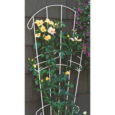 Panacea 28"x60" White Fan Trellis — photo 1 of 2