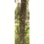 Panacea 72"x10" Semi Round Art & Crafts Trellis Black — thumbnail 1 of 2