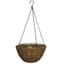Panacea 14" Hanging Basket Green Growers — thumbnail 1 of 2