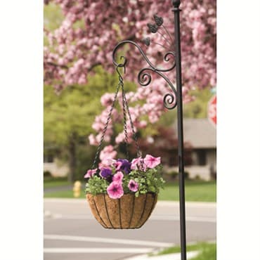 Panacea 16" Hanging Basket GR Growers — photo 1 of 2