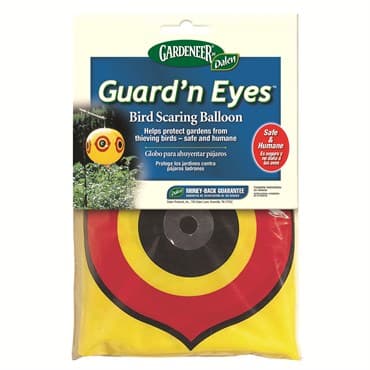 Dalen 2' Diameter Guard'N Eyes Bird Scare Balloon — photo 1 of 2