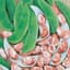 Limas, Jackson Wonder 50lb — thumbnail 1 of 2