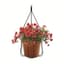Plastec Adjustable Plant Hanger — thumbnail 1 of 2