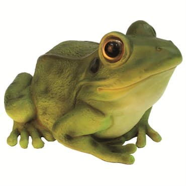 MCarr Frog — photo 1 of 2