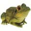 MCarr Frog — thumbnail 1 of 2