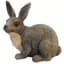 MCarr Brother Rabbit — thumbnail 1 of 2
