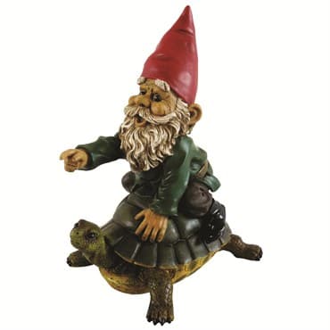 MCarr Garrold Gnome On Turtle — photo 1 of 2