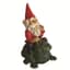 MCarr Garrold Gnome On Toad — thumbnail 1 of 2