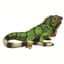 MCarr Iguana Medium — thumbnail 1 of 2
