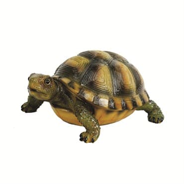 MCarr Desert Turtle — photo 1 of 2