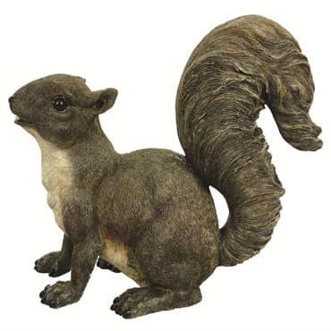 MCarr Frisky Squirrel — photo 1 of 2