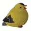 MCarr Fat Goldfinch — thumbnail 1 of 2