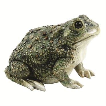 MCarr Texas Toad — photo 1 of 2